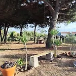 Casa Do Lagar オビドス