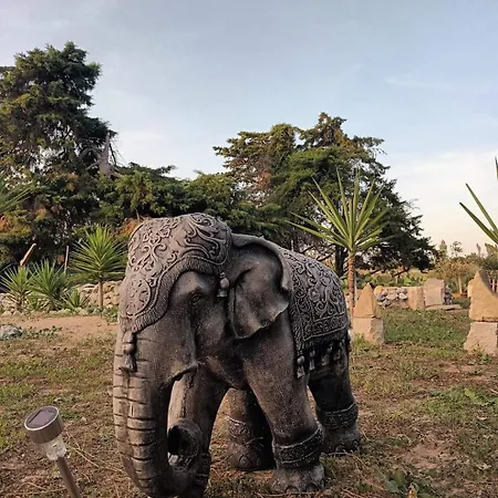 Casa Do Lagar 펜션 *