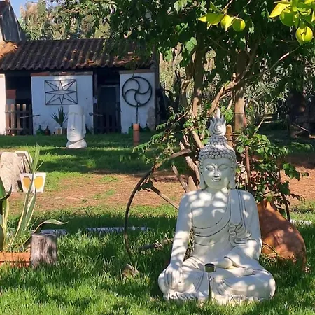 Casa Do Lagar * 오비도스