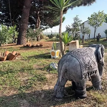 펜션 Casa Do Lagar *